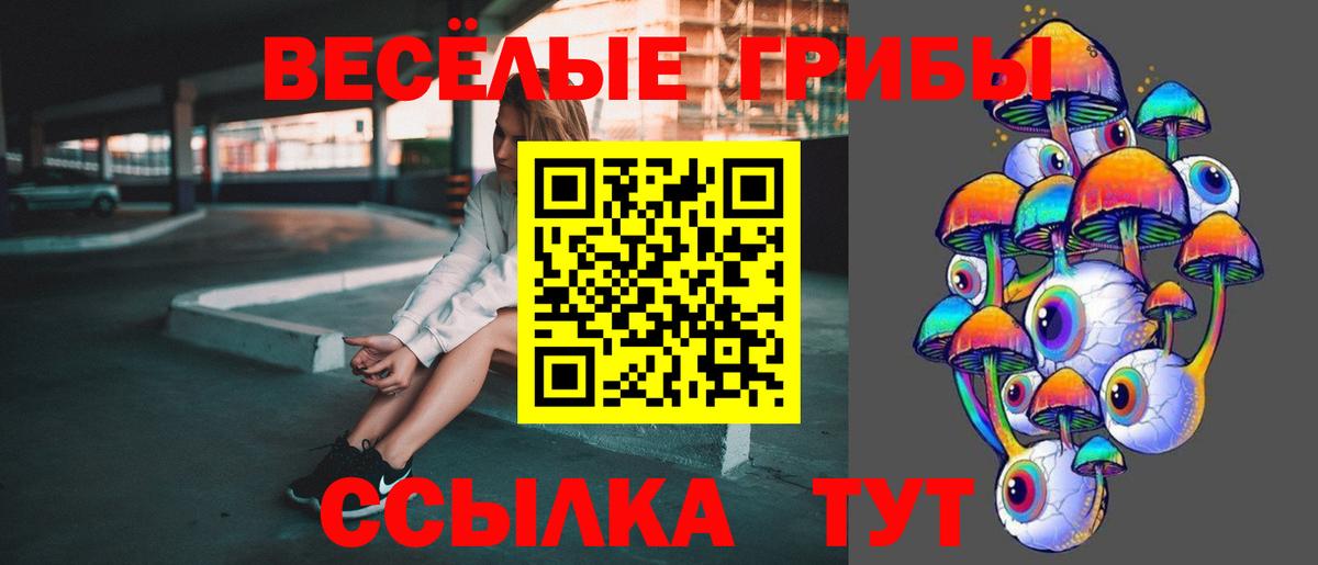 Аксай  Галлюциногенные грибы Psilocybe  Галлюциногенные грибы Psilocybe  как найти   Вход с VPN 